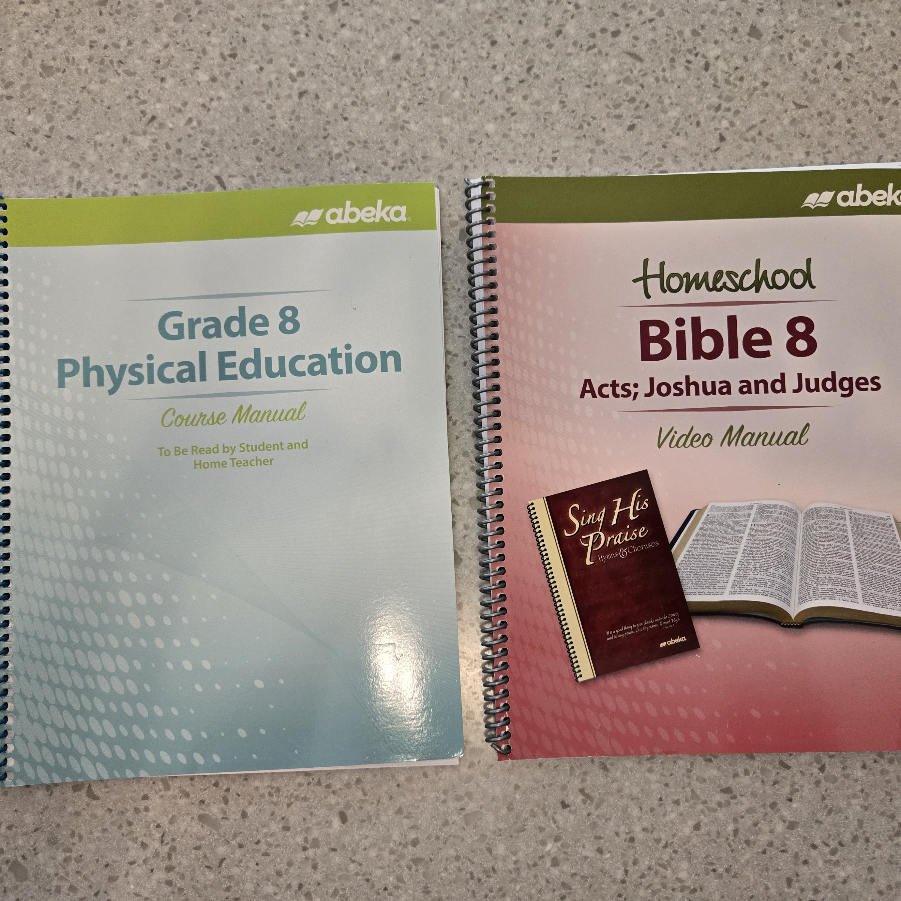 Abeka Grade 8 Manuals Set